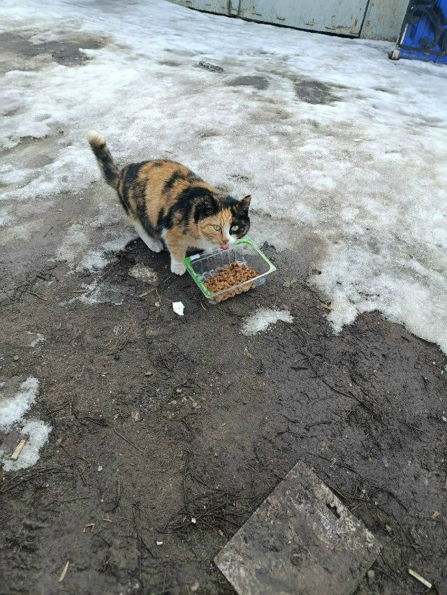 photo_2569-03-20 09.42.06.jpeg