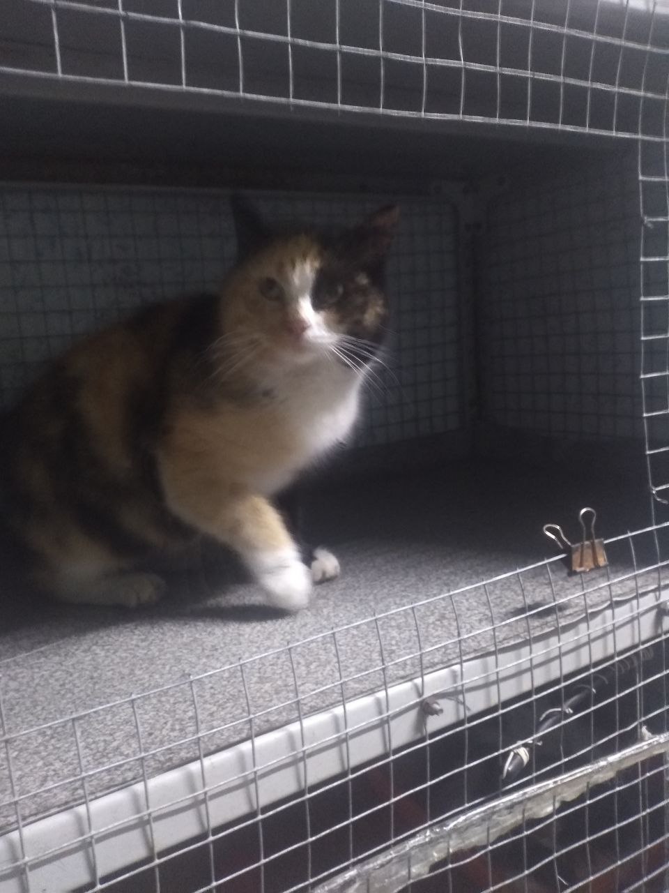 photo_2569-03-20 09.41.56.jpeg