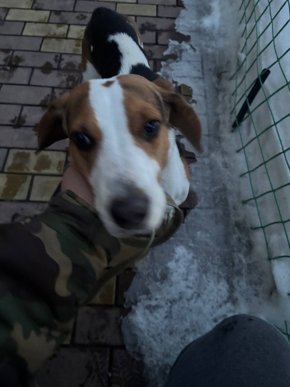 photo_2569-03-21 11.50.21.jpeg