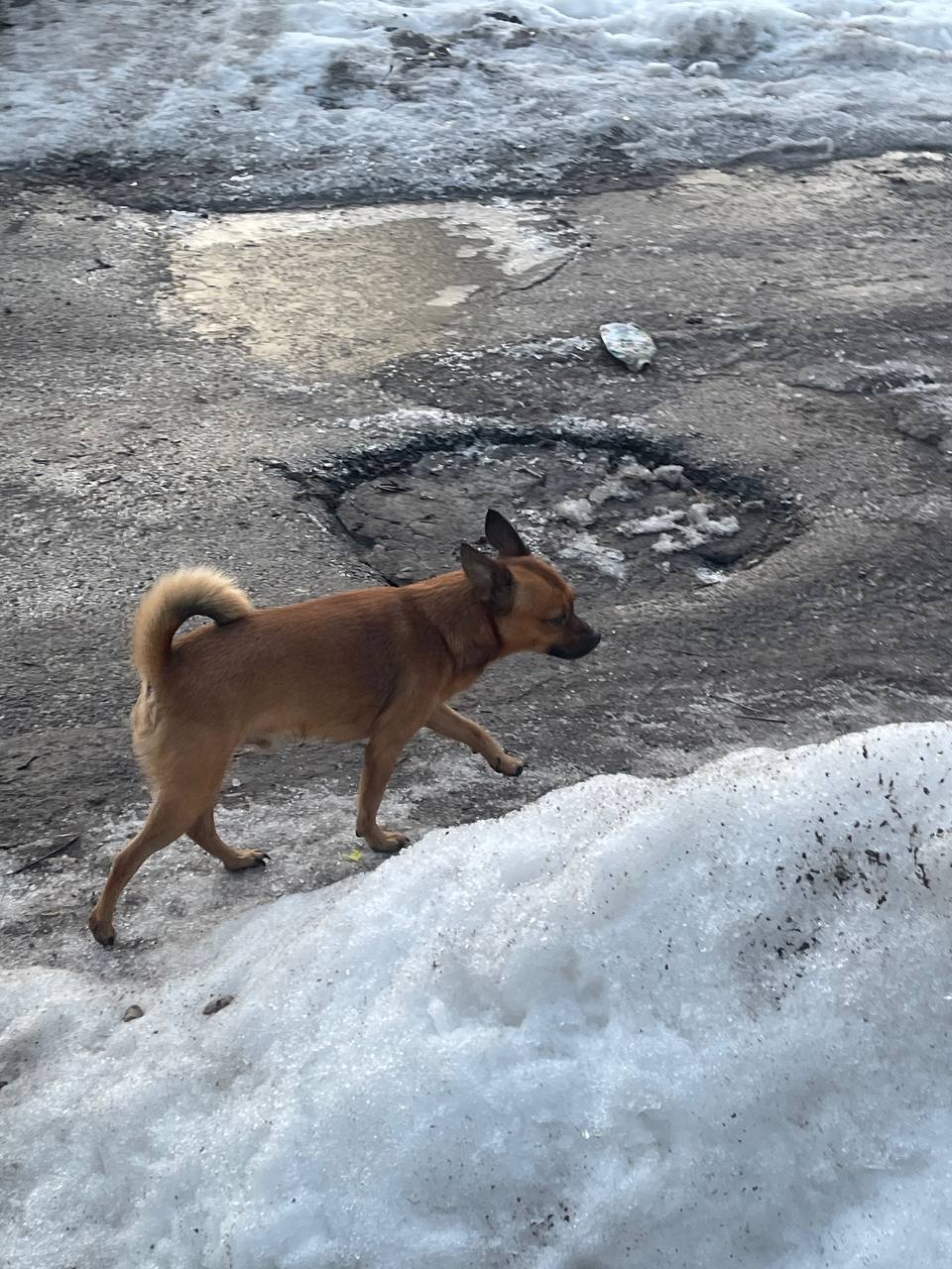 photo_2569-03-21 11.53.30.jpeg