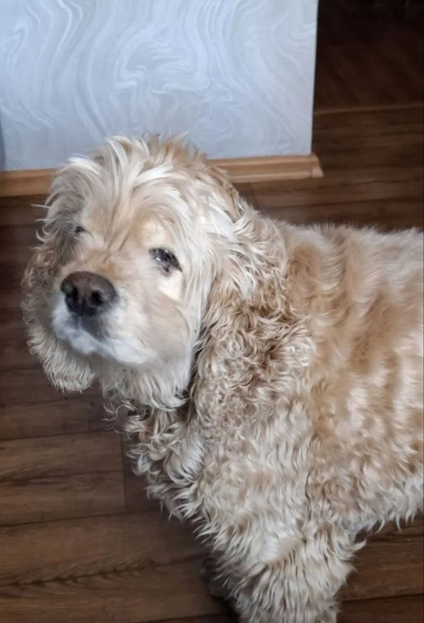 photo_2569-03-24 15.50.30.jpeg