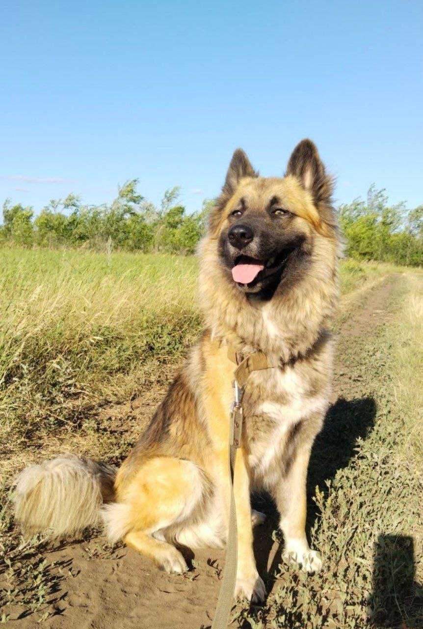 photo_2569-03-26 09.18.55.jpeg