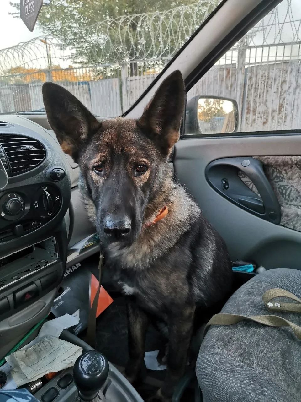 photo_2569-03-26 09.20.03.jpeg