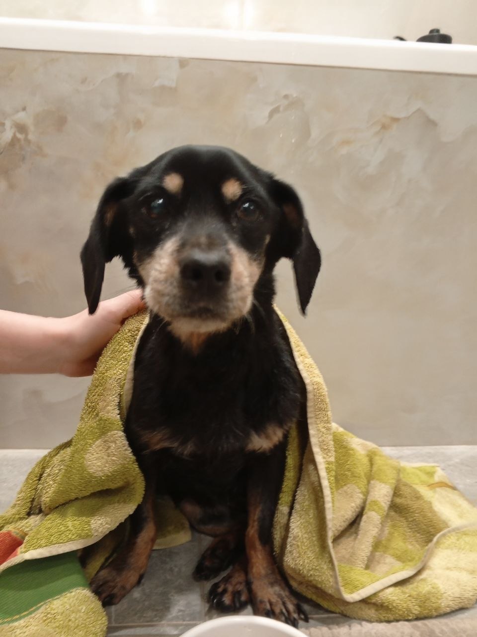 photo_2569-03-26 09.22.07.jpeg