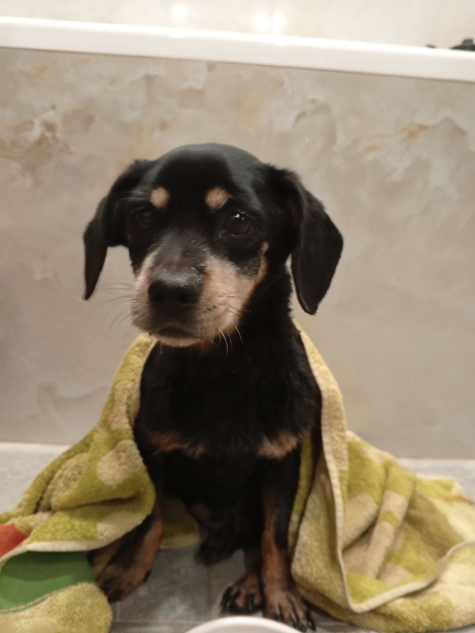 photo_2569-03-26 09.22.03.jpeg