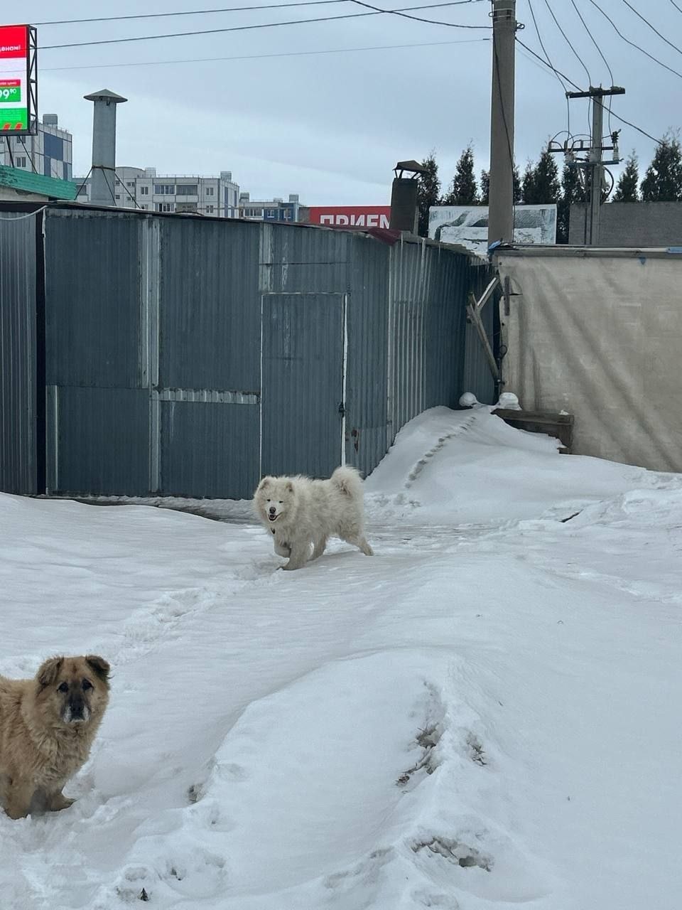 photo_2569-03-27 17.21.56.jpeg