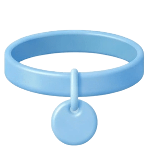 Аксессуары и игрушки